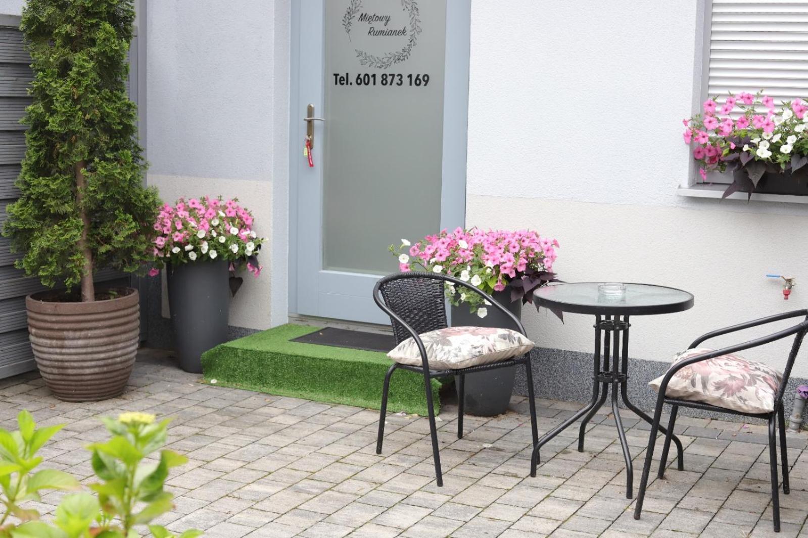 2 Apartament Mietowy Rumianek Lwowek Bagian luar foto